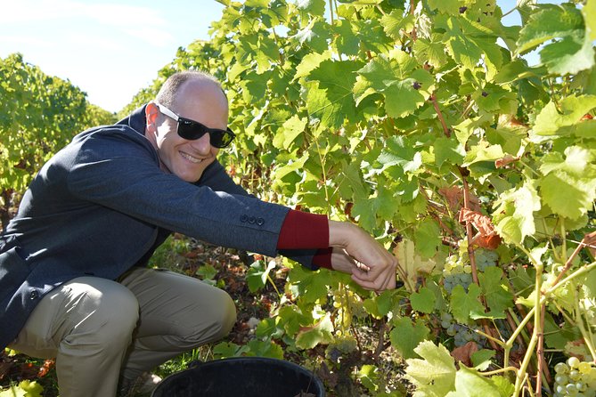 Paris Wine Day Tours exclusive Champagne tour incl. 3 visits - Leaving Paris at 7 a.m. with a small group