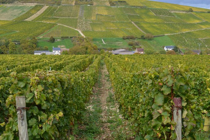Paris Wine Day Tours exclusive wine tour in the Sancerre area - Sancerre Village, Vineyards, and Two Winemakers