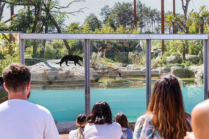 Parrot World Immersive Wildlife Park Entry Ticket next to Paris - A family-friendly visit with room to pause