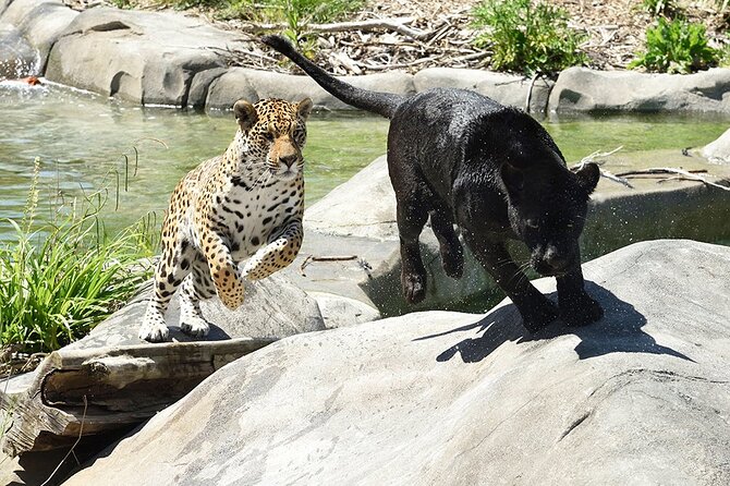 Parrot World Immersive Wildlife Park Entry Ticket next to Paris - Is $24.20 good value?