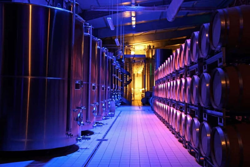 Passy-Grigny: Chocolate and Champagne Tasting Tour - What happens during the 75-minute tour