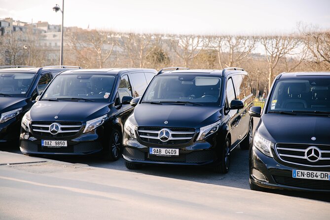 Personalized Transport service from Disneyland to Paris - Who gets the most from this transfer