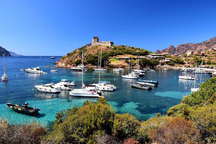 Porto: Scandola and Calanches of Piana Boat Trip - Key points to know before you book
