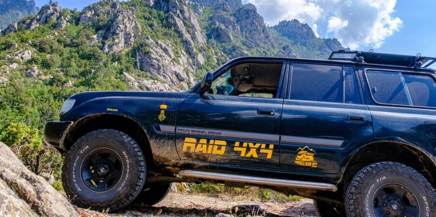 Porto Vecchio: Ospedale Forest & Bavella Needles 4x4 Tour - Who will get the most from this tour