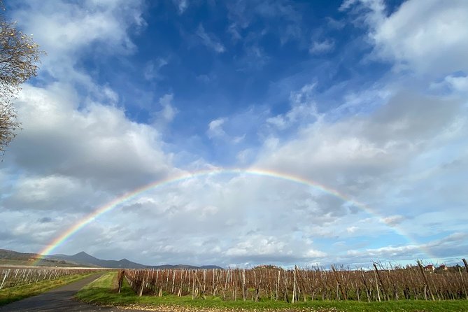 Private and customizable: Alsace Wine Route HIGHLIGHTS in 3 hours - Kaysersberg: medieval walls and a castle above the town