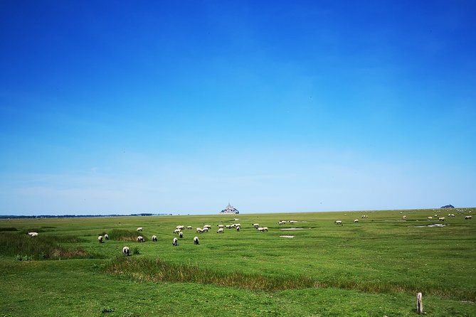 Private Day Tour of Mont Saint-Michel from Bayeux - What the possible return stops really mean
