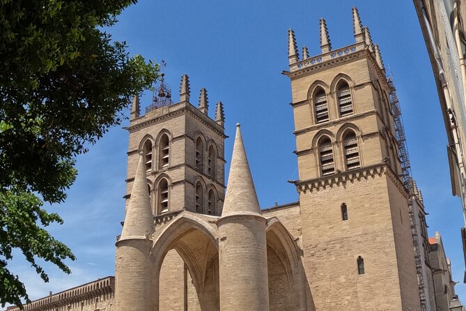 Private Discovery of Montpellier by Bike-Taxi - Saint-Pierre Cathedral and the old medical faculty
