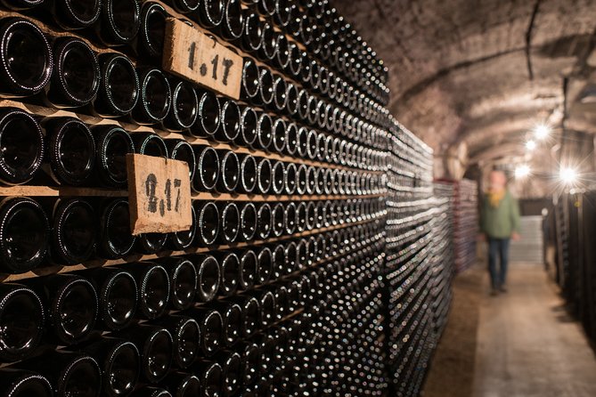 Private excursion to Côte de Beaune and Côte de Nuits (full day) - Grand Cru sights from Montrachet to Corton
