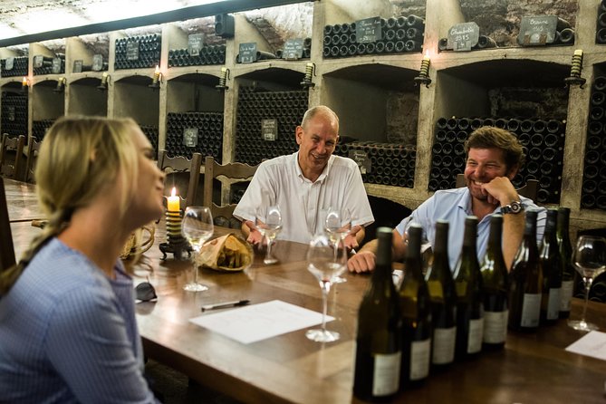 Private excursion to Côte de Beaune and Côte de Nuits (full day) - Inside the cellar and a second six-wine tasting