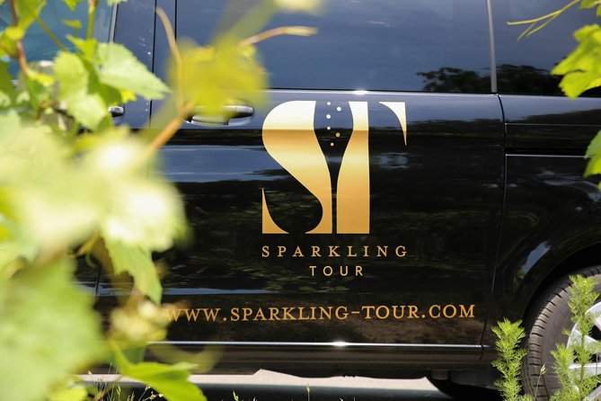 Private Full Day Tour - Visit of 3 Champagne Growers from Reims. - Why small Champagne producers change the day