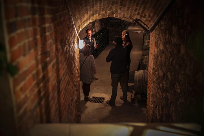 Private Full Day Tour - Visit of 3 Champagne Growers from Reims. - The Mercedes minivan and private format
