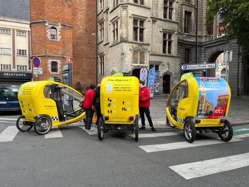 Private guided tour by electric bike taxi - Fine Arts Museum and the wider city center