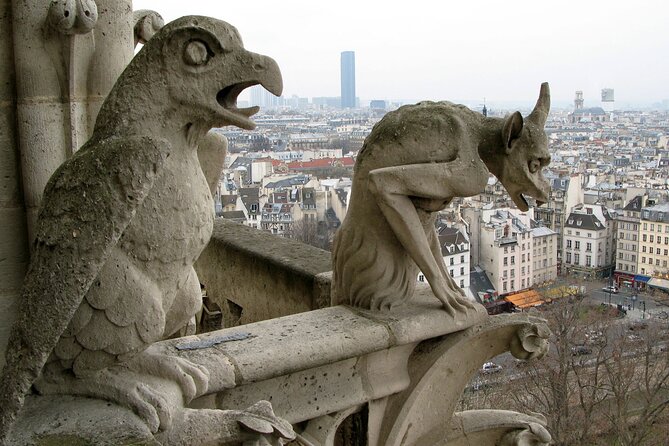 Private One-Way Transfer: City of Paris - Language and communication tips
