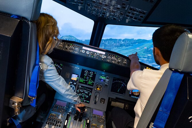 Private Pilotage of a Flight Simulator in Paris - Is $119.48 a Fair Price?