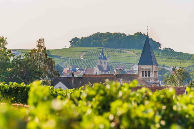 Private tour of the Champagne area, meet local producers and taste their Champagne, start from your hotel in Paris. - A full Champagne day from Paris