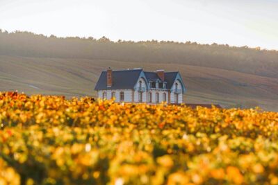 Private tour of the Champagne area, meet local producers and taste their Champagne, start from your hotel in Paris.