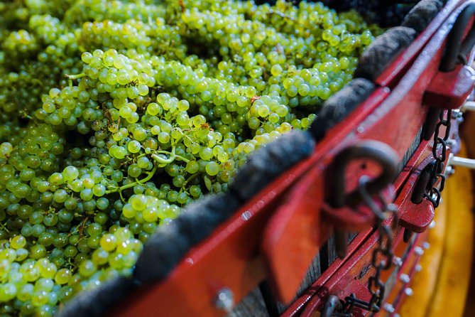 Private tour of the Champagne area, meet local producers and taste their Champagne, start from your hotel in Paris. - What the private format is really worth