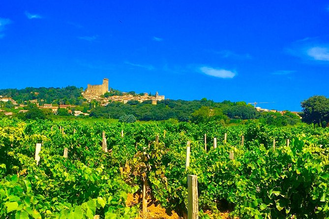 Provence Cru Wine Small-Group Half-Day Tour from Avignon - Châteauneuf-du-Pape and its famous stones