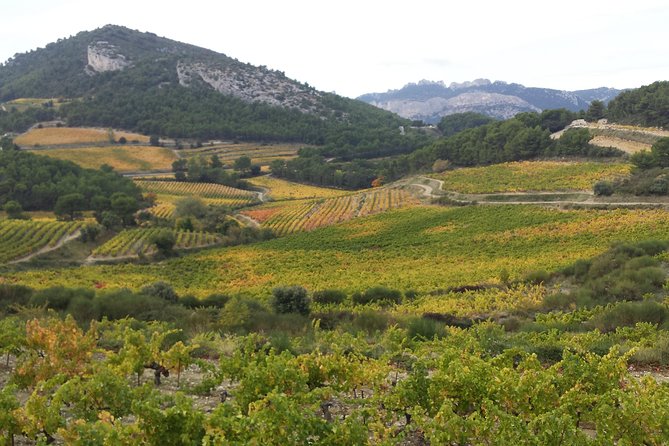 Provence Cru Wine Small-Group Half-Day Tour from Avignon - Gigondas and the joy of the wine village