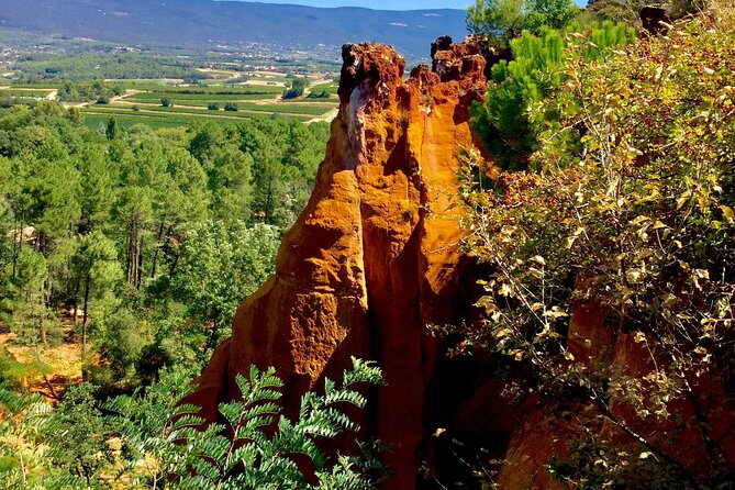 Provence Highlights Full-Day Tour from Avignon - Sénanque Abbey and the lavender-season photo stop