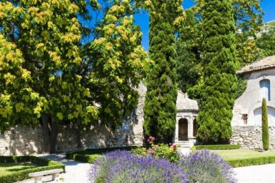 Provence in One Day Small Group Day Trip from Avignon