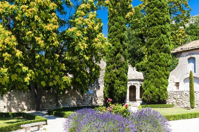 Provence in One Day Small Group Day Trip from Avignon - Starting from Avignon at 8:30 a.m.