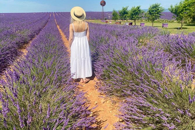 Provence Lavender Fields Tour from Aix-en-Provence - Sault and the Luberon route after July 15