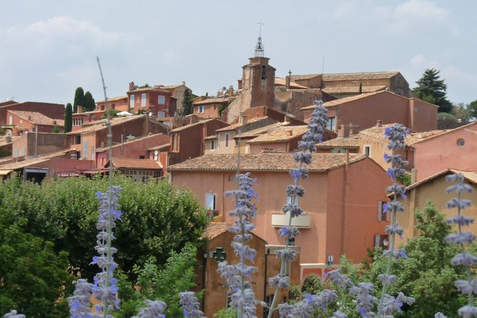 Provence Lavender Full Day Tour from Avignon - What the full day from Avignon feels like