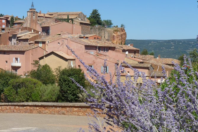 Provence Lavender Full Day Tour from Avignon - Lavender products, farms, and what you actually learn