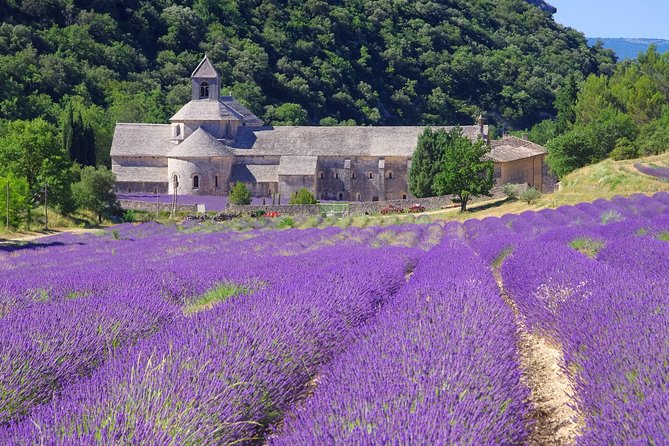Provence Lavender Full Day Tour from Avignon - Roussillon and its ochre-colored streets