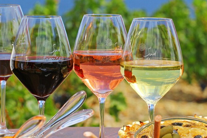 Provence Organic Wine Tasting Half Day Tour from Nice - Key points to know before booking
