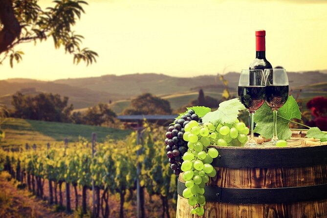 Provence Organic Wine Tasting Half Day Tour from Nice - St-Paul-de-Vence in one short visit