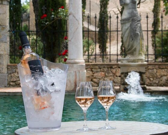 Provence Wine Tour - Private Day Tour from Nice - Key points at a glance