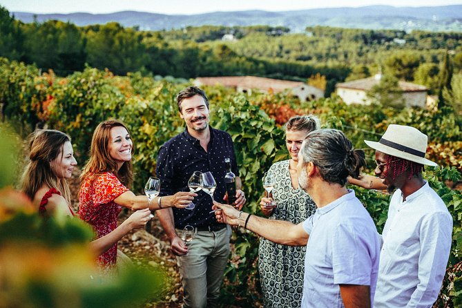 Provence Wine Tour - Private Day Tour from Nice - Château de Saint-Martin: history, cellars, and the first masterclass