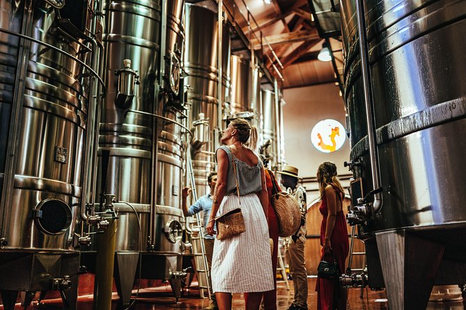 Provence Wine Tour - Private Day Tour from Nice - About 15 wines, with room to learn
