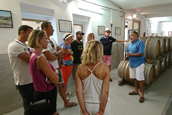 Provence Wine Tour - Private Day Tour from Nice - Guides make the difference