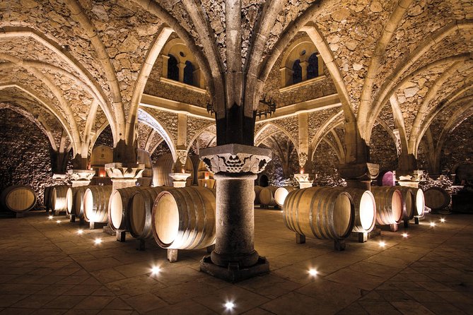 Provence Wine Tour - Private Day Tour from Nice - Château Font du Broc and its remarkable cellar