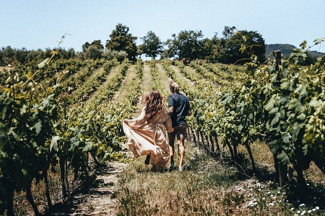 Provence Wine Tour - Small Group Tour from Nice - Who should book this tour?
