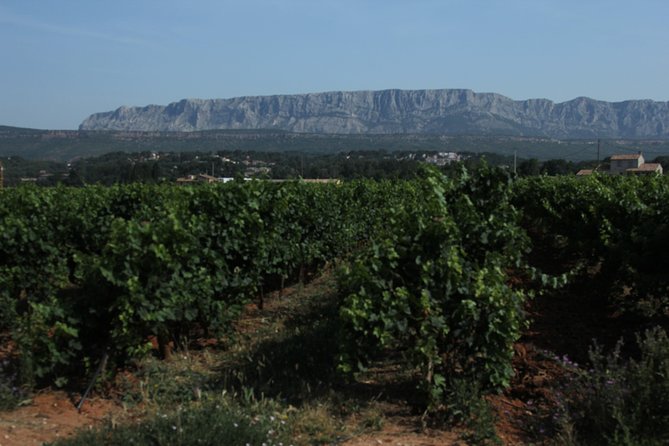 Provence Wineries and Luberon Villages Day Trip from Aix-en-Provence - Lourmarin brings a softer village welcome