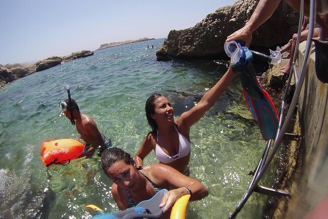 Rando-Palmée Getaway Around an island - Reaching Endoume from central Marseille