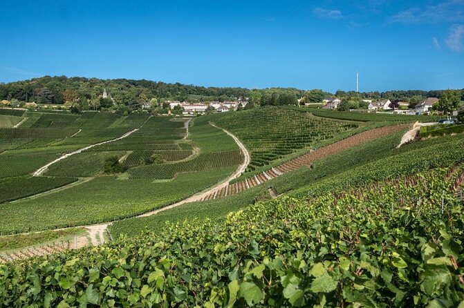 Reims afternoon tour Champagne and family growers - What the $151.16 price includes