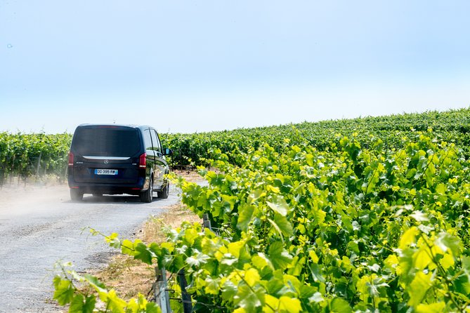 Reims afternoon tour Champagne and family growers - Timing, comfort, and practical limits