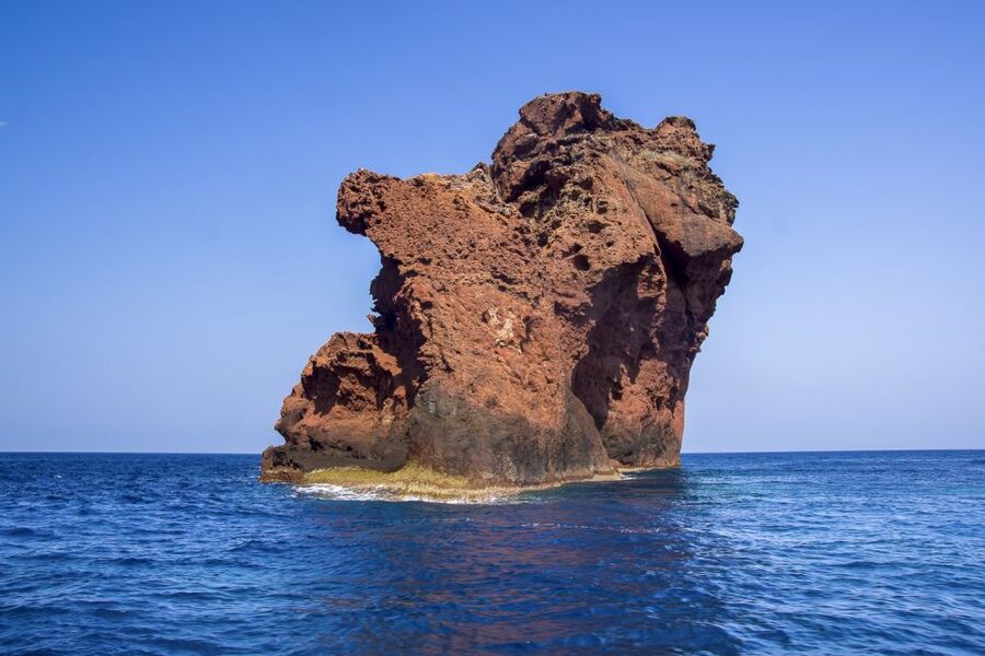 Sagone/Cargèse: Croisière Scandola, Piana, Girolata Baignade - Key points at a glance