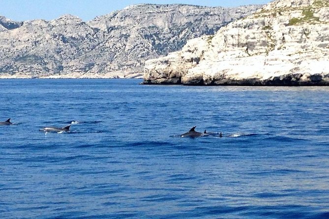 Sailing day in the heart of the Calanques - Who should book this sailing day?