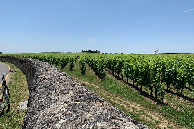 Saint-Emilion Afternoon Wine Tour - 2 Wineries & delicacies - One hour inside the medieval village