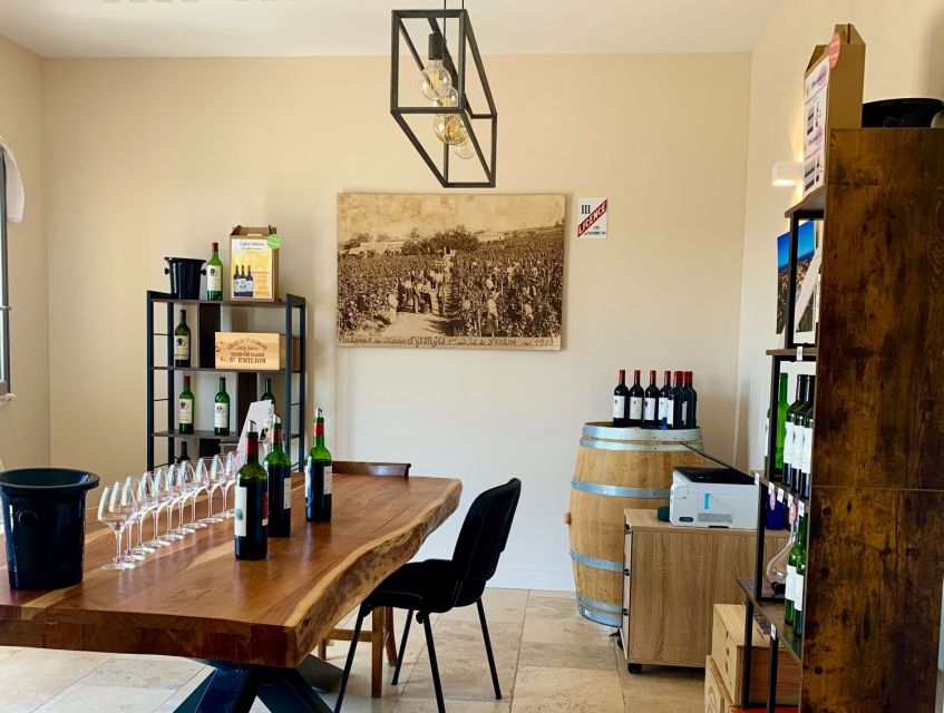 Saint-Émilion: Bordeaux Vineyard Tour and Wine Tasting - What this Saint-Émilion wine tour is really like