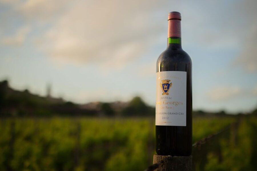 Saint-Émilion: Bordeaux Vineyard Tour and Wine Tasting - Inside the cellar and barrel-aging rooms