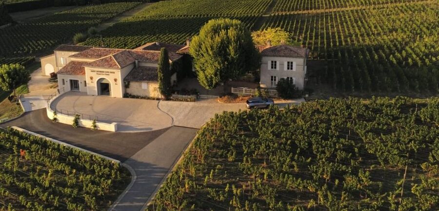Saint-Émilion: Bordeaux Vineyard Tour and Wine Tasting - How the small group changes the experience