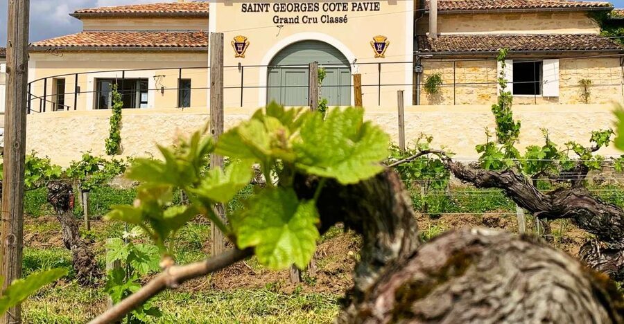 Saint-Émilion: Bordeaux Vineyard Tour and Wine Tasting - Price, value, and what you receive