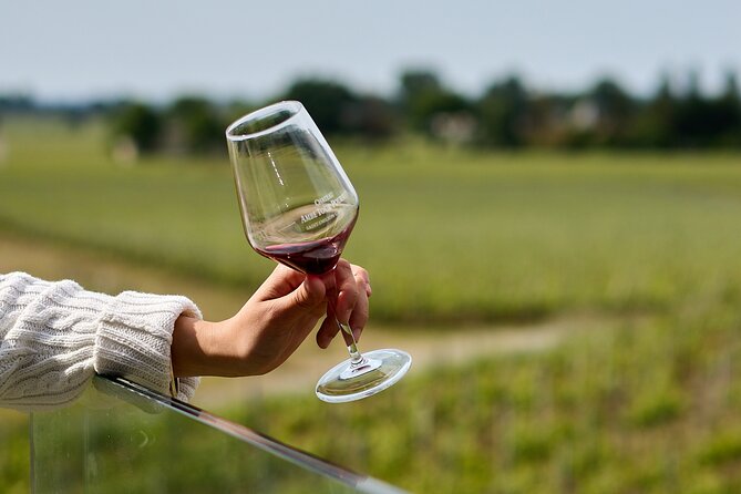 Saint-Émilion day tour: village visit, Châteaux and lunch - Who will enjoy this day most?